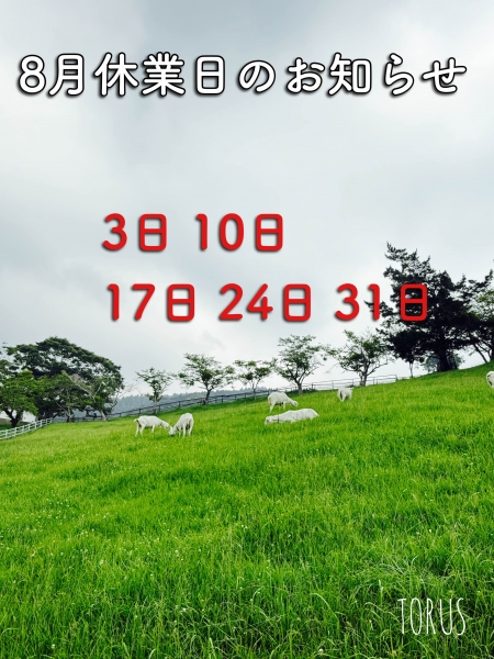 phonto 61